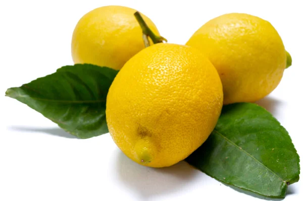 Nouvel arrivage de citrons non traités d’Italie pour le limoncello authentique